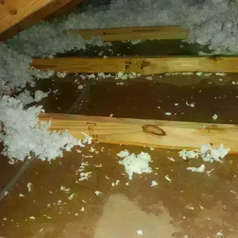 Attic Water Damage in Teaticket, MA